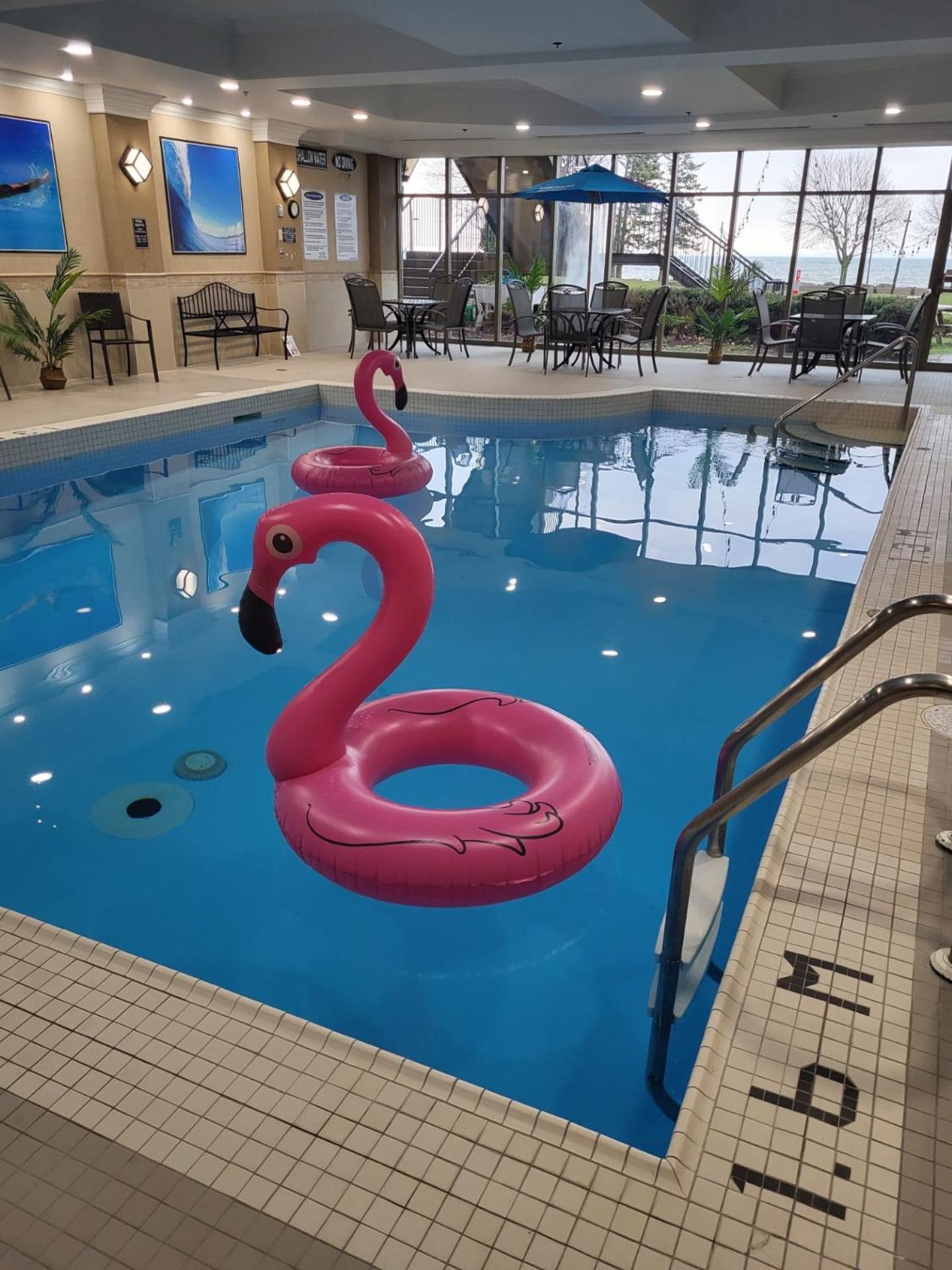 Waterfront Hotel Downtown Burlington Zewnętrze zdjęcie